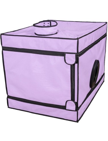 SECRET DOME - KINK CLUB LA NICHE CABINE VIOLET