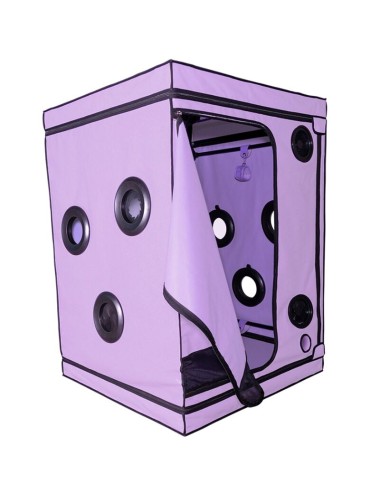 SECRET DOME - KINK CLUB CABINE SCANDALE PURPLE