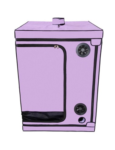 SECRET DOME - KINK CLUB CABINE SCANDALE PURPLE