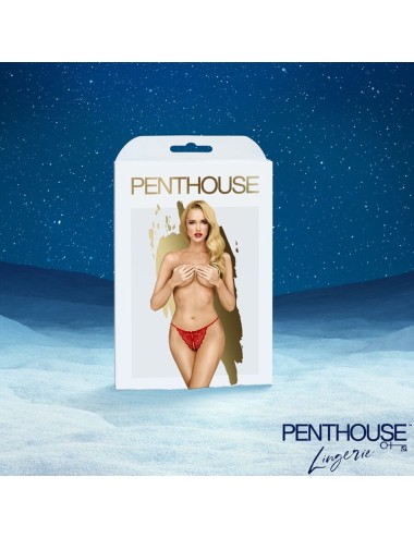 SATISFYER - CALENDRIER DE L'AVENT PREMIUM 2025