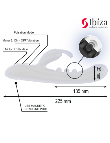 IBIZA - LAPIN VIBRANT À PULSATION