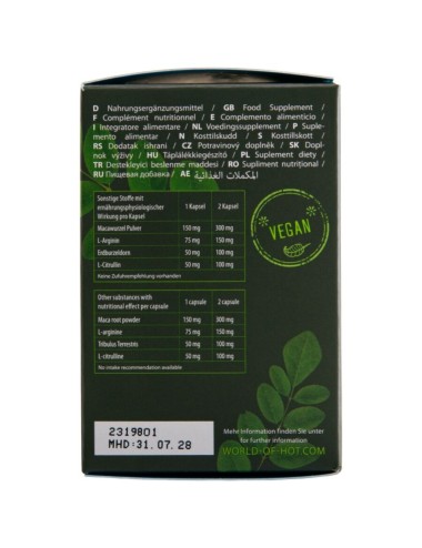 HOT - MORINGA BOÎTES POUR HOMMES 60 UNITÉS