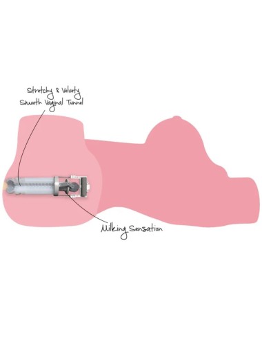 DÉSIR CACHÉ - TORSE DE CHIENNE TRÈS EXCITÉE, MASTURBATEUR FÉMININ 10 KG