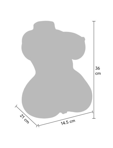 DÉSIR CACHÉ - MASTURBATEUR VAGIN ET ANUS JUICY DOUBLE D 5 KG