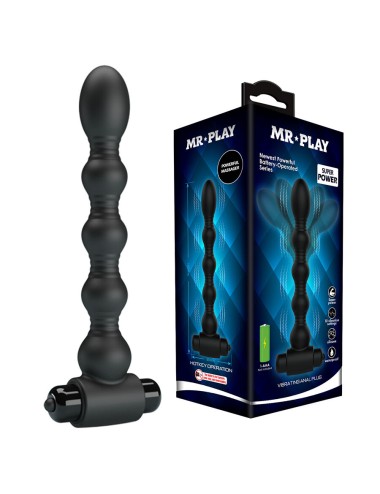 MR PLAY - MASSEUR DE PLUG ANAL VIBRANT
