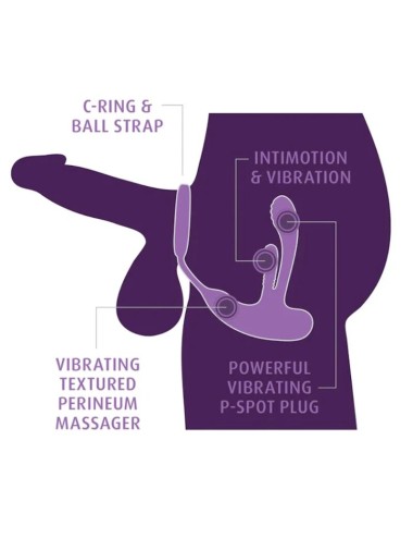 ANAL FANTASY ELITE - STIMULATEUR ANAL ET PÉRINÉAL RECHARGEABLE ASS-GASM INTIMOTION