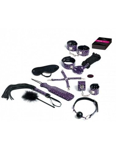 Sextoys - Jeux coquins - Jeux de couple master slave purple premium kit bdsm -