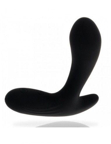 Sextoys - Godes & Plugs - ADDICTED TOYS MASSEUR ANAL VIBRATION NOIR - Addicted Toys