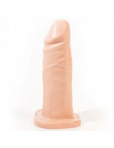 Sextoys - Masturbateurs & Stimulateurs - CHAMBRE ROSE DAEL REALISTIC DILDO FLESH 18,5 CM - Pink Room