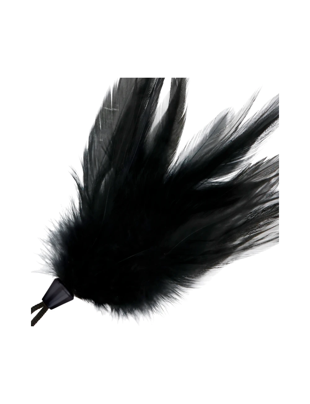 Sextoys - Bondage - SM - PLUME NOIRE DARKNESS 17CM - Darkness Sensations Sextoys - Bondage - SM - PLUME NOIRE DARKNESS 17CM - Darkness Sensations