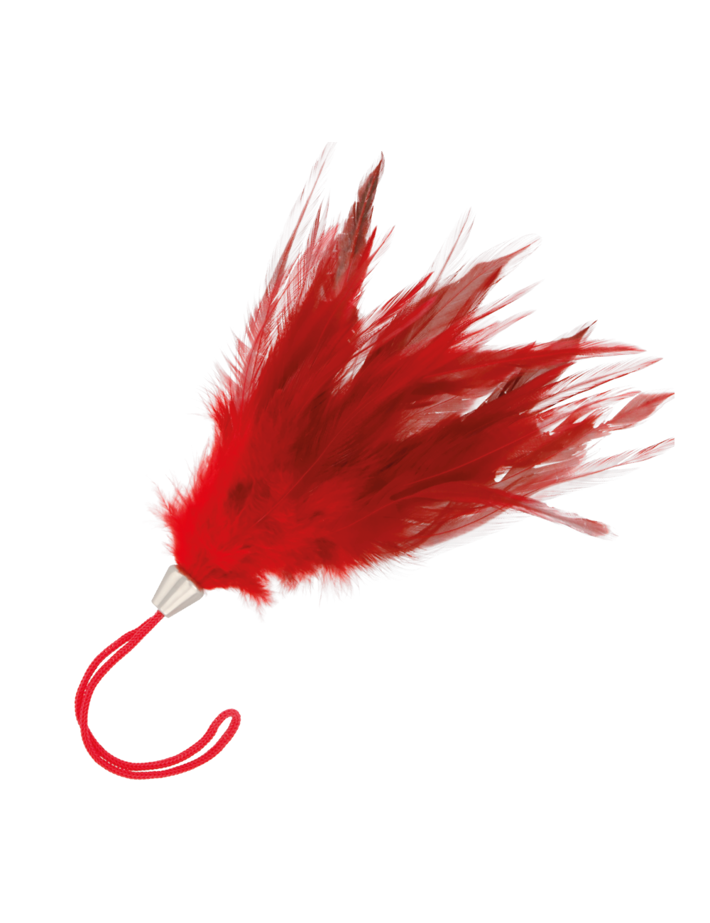 Sextoys - Caresses - PLUME ROUGE FONCÃ 17CM - Darkness Sensations